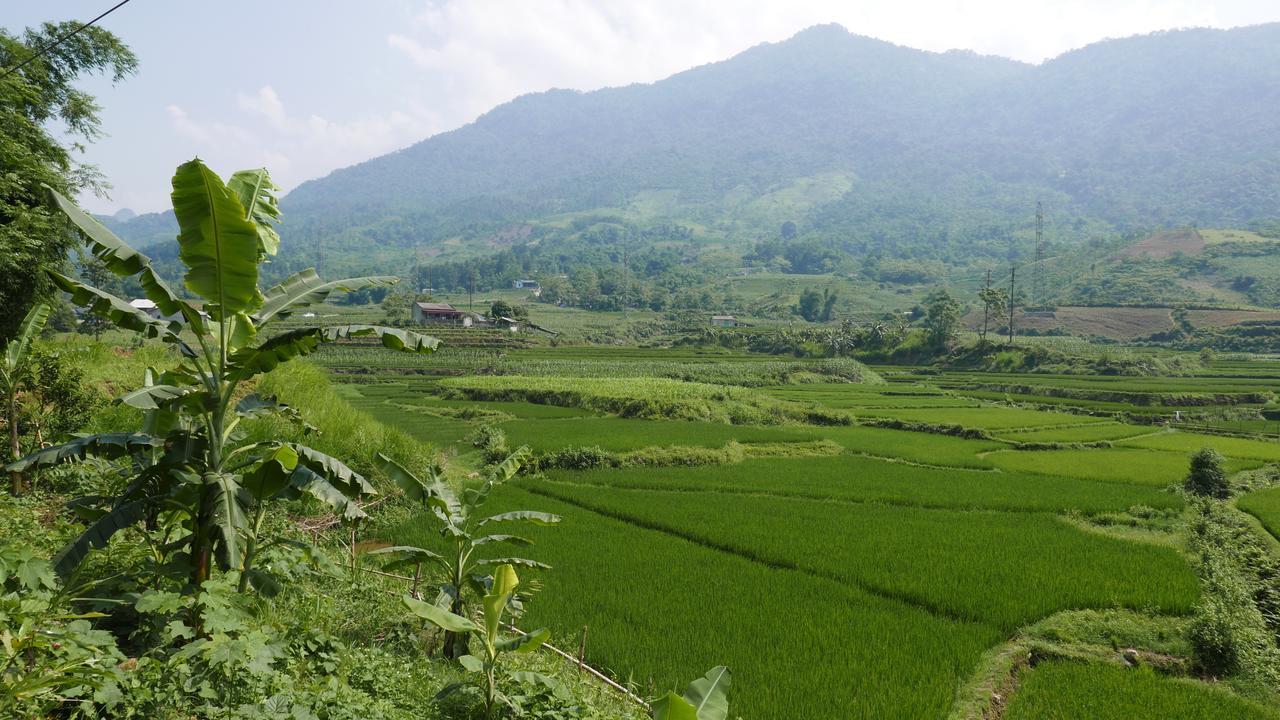 Thac Ba Family Homestay Ho To Extérieur photo