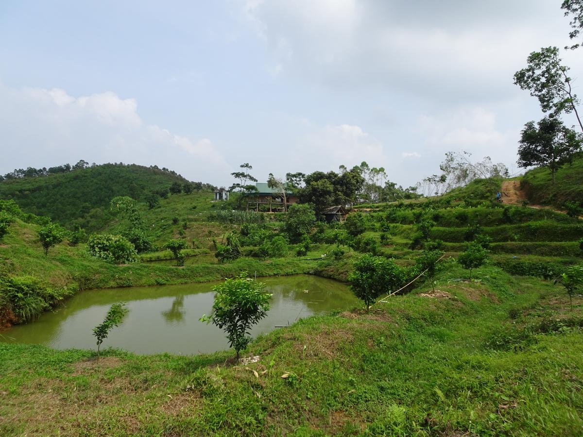 Thac Ba Family Homestay Ho To Extérieur photo