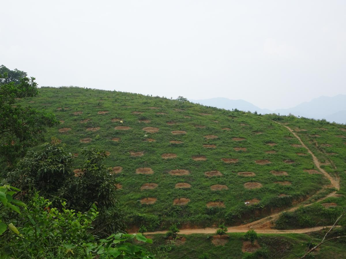 Thac Ba Family Homestay Ho To Extérieur photo